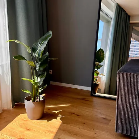 Sky Park Deluxe - Castle View - Free Parking Apartment